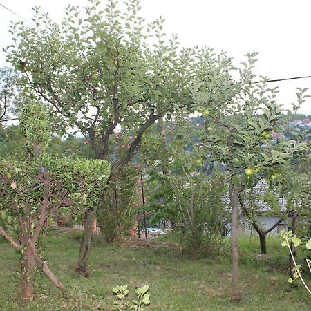 דירות רייקה Tutnovo 13 מראה חיצוני תמונה